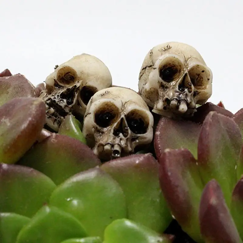 Мини-черепа, Голова скелета, 20 штук, Маленькие Мини-черепа, Украшение для цветочного горшка, Реалистичный Скелет Для украшения вечеринки