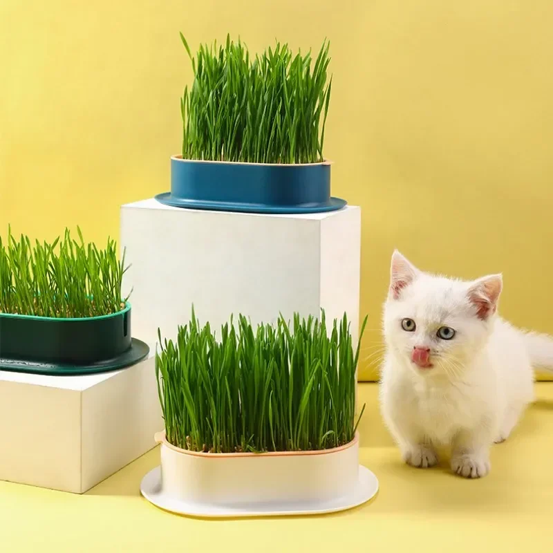 Гидропонная коробка для посадки кошачьей мяты Cat Snack, Горшок для кошачьей травы, Контрастный по цвету Гидропонный Набор для кошачьей травы, Чаша для посадки кошачьей травы